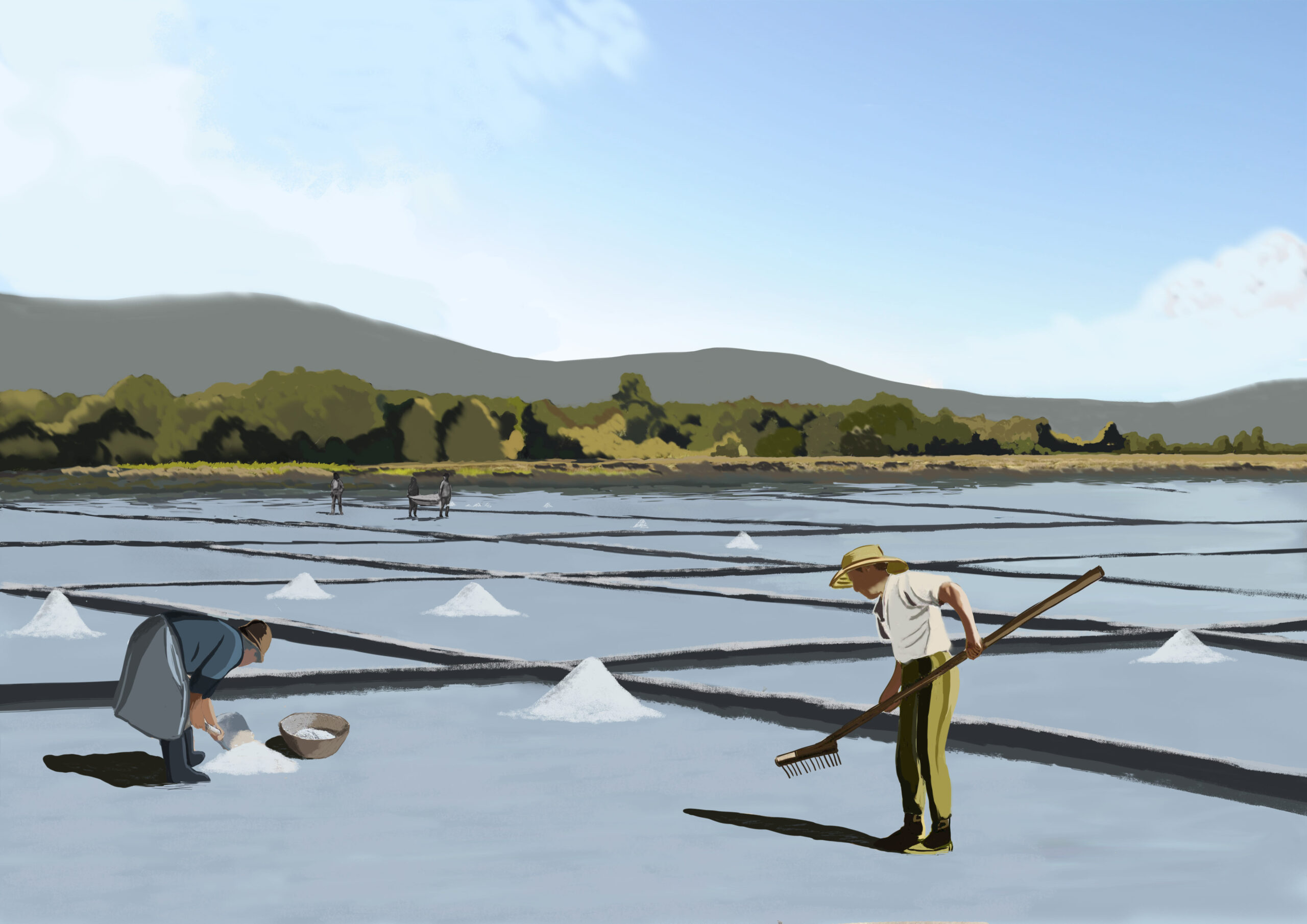 Ilustración salinas de Vilaboa