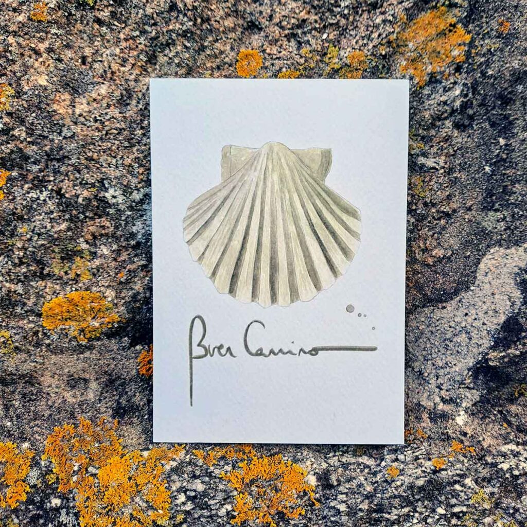 Postal concha Buen camino